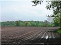 SJ7871 : Soggy corner of bare field, east of Buckden Lane by Christine Johnstone