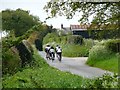 Cyclists approaching Roadside Farm, Buckden Lane