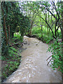 Brook below the outfall, Mount Nod