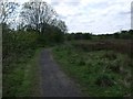 Cumbernauld, Ravenswood Local Nature Reserve [3]