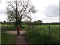 Footpath junction on Water Lane