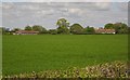 Field near Ilton