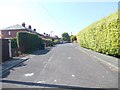 Lingfield Terrace - looking towards Highgate Road