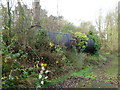 Tank near Maesteg Sports Centre