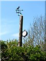 Clock & weathervane