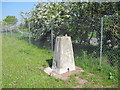 Ordnance Survey Trig Pillar S1705