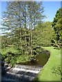 Porter Brook in Endcliffe Park