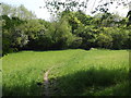 Footpath West of Beavers Farm