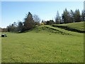 Meadow and track by the Nidd