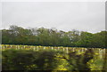 Oilseed rape by the A29