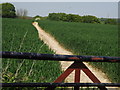 Footpath to Middle Old Park