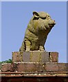 Piggy sculpture (2) at Follies Farm, Tugley