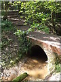 Footbridge in Claypit Wood