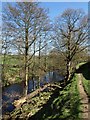 River Nidd