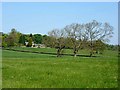 Field near Prior Hall Farm