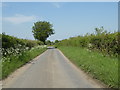 Hartest Lane, heading towards Lawshall