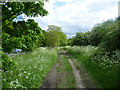 Path on Mitcham Common alongside Windmill Road