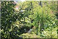 River Chelt behind Grovelands Close