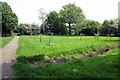 Potential orchard by the allotments