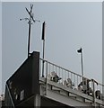 Chelmsford: County Ground - weather vane