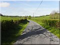 H5424 : Road at Corkeeran by Kenneth  Allen