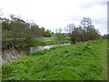 Carlisle, River Petteril