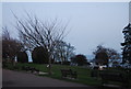 Cliff top gardens