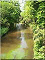 River Wey (South branch)