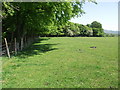 Path through a field