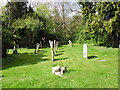 SU2131 : St. Peter, Pitton: churchyard (a) by Basher Eyre
