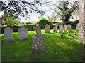 St. Peter, Pitton: churchyard (k)