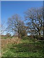 Nidderdale Way near Low Wood House