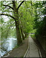 Riverside footpath, Llanidloes