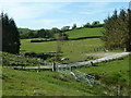 View across the farm track to Nant-gwernog