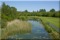 The St Helens Canal from the footbridge