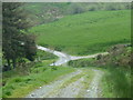 Track near Hir-brysg farm