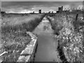 Drainage Ditch at Moss Side Camp, Crimond