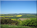 A  Tapestry  of  Fields  below  Beacon  Banks