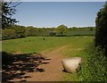 Field near Uggaton Farm