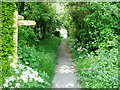 Path to Main Road (A286)