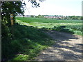 Bridleway near Barkby Thorpe