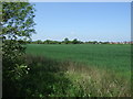 Farmland near Syston