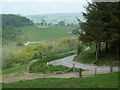 Above the farm track for Bwlch Farm