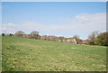 Field near Bashurst Copse