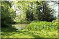 Pond on the Ballard estate, Colwall