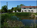 Cottages by a pond at Hollies Common