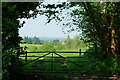 View From Church Lane, Witley, Surrey