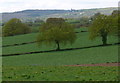 Farmland near Hazeley Grange