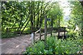 Mid Devon : Bridge & Footpath