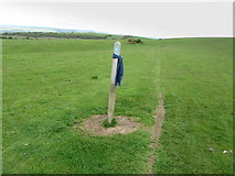 TQ5402 : Solitary Waymark on the South Downs Way by Chris Heaton